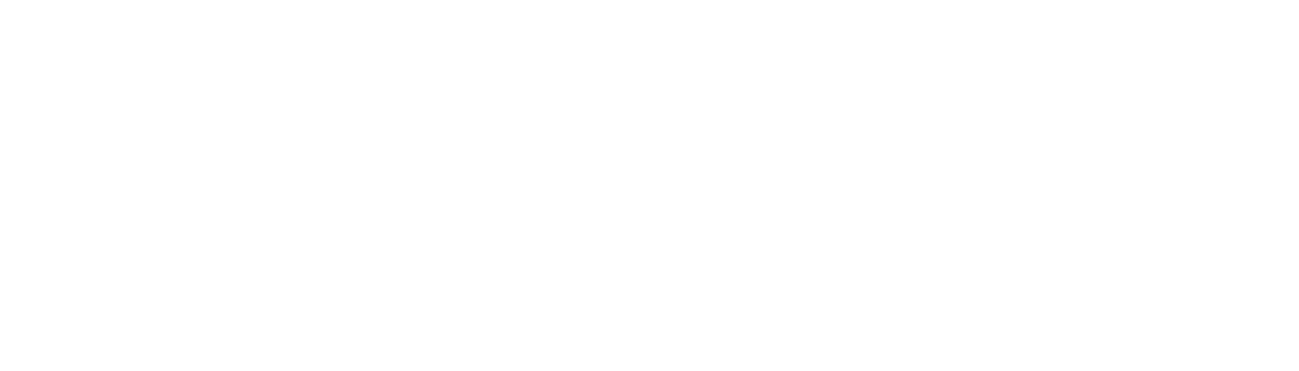 Wave Computing